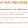 Earth's Natural Resources - Image 4